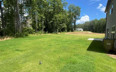 Photo of Stephen K.'s yard after getting lawn care in Westerville, OH