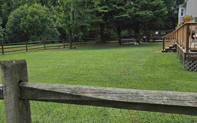 Photo of Anne E.'s yard after getting lawn care in Derby, KS