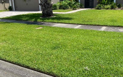 Photo of Rebecca M.'s yard after getting lawn care in Lehigh Acres, FL