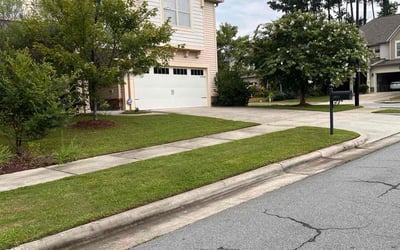 Photo of Laura B.'s yard after getting lawn care in Jacksonville, NC