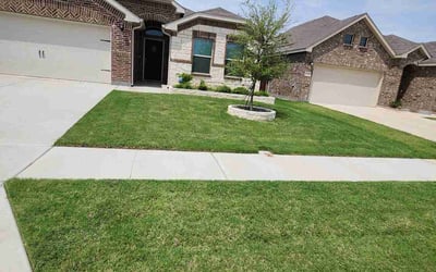 Photo of Shaddiff W.'s yard after getting lawn care in Springfield, OR