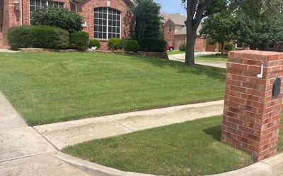 Photo of Tiara R.'s yard after getting lawn care in Loganville, GA