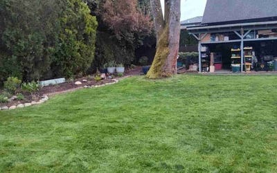 Photo of Margret R.'s yard after getting lawn care in Sammamish, WA