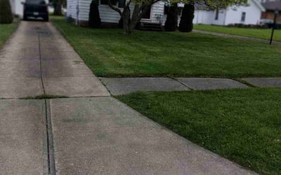 Photo of Todd L.'s yard after getting lawn care in Miramar Beach, FL