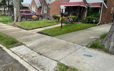 Photo of William R.'s yard after getting lawn care in Virginia Beach, VA