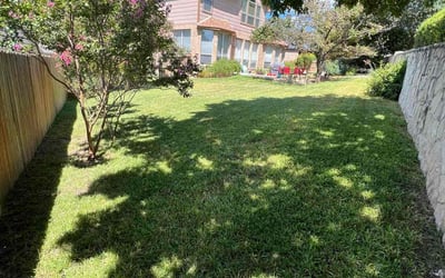 Photo of Loraine M.'s yard after getting lawn care in Floresville, TX