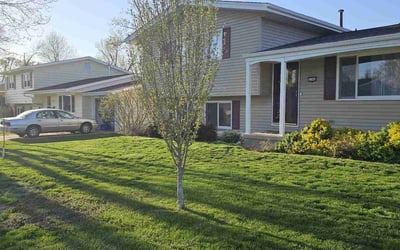 Photo of Jesse H.'s yard after getting lawn care in Marion, IA