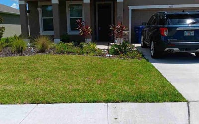 Photo of Alyssa C.'s yard after getting lawn care in Palmetto, FL