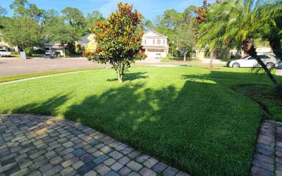 Photo of Richard T.'s yard after getting lawn care in Bolingbrook, IL