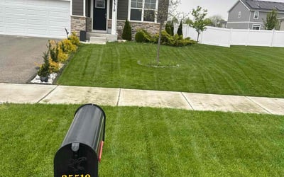 Photo of Alex B.'s yard after getting lawn care in Miami, FL