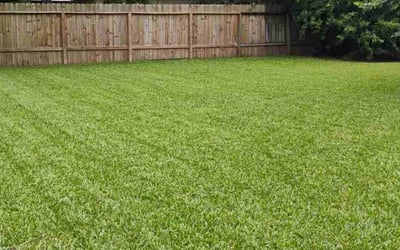 Photo of Megan W.'s yard after getting lawn care in Benton, AR