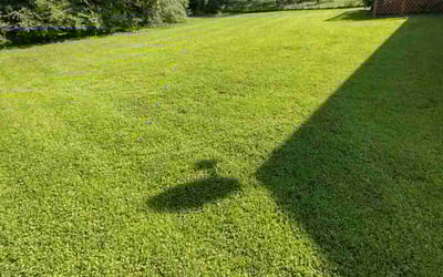 Photo of Rachel O.'s yard after getting lawn care in Phillipsburg, NJ
