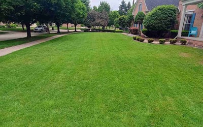 Photo of Nicol T.'s yard after getting lawn care in Midlothian, VA