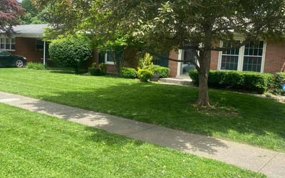 Photo of Robert W.'s yard after getting lawn care in Ridgeland, MS