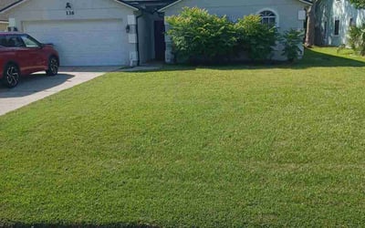 Photo of Stacy B.'s yard after getting lawn care in Clyde, NC