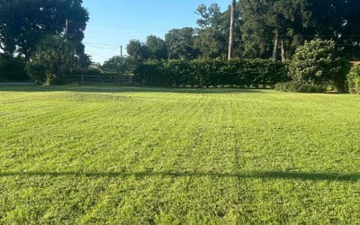 Photo of Mark L.'s yard after getting lawn care in Campbell, CA