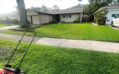 Photo of Kenisha P.'s yard after getting lawn care in York, ME