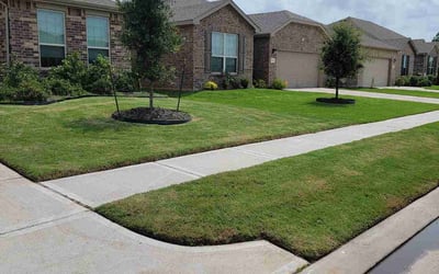 Photo of Steven K.'s yard after getting lawn care in North Hills, CA