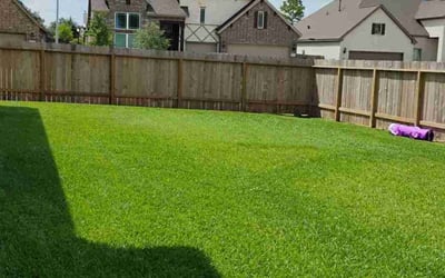 Photo of Nick R.'s yard after getting lawn care in Newburyport, MA