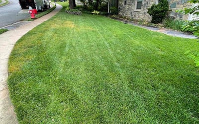 Photo of Joseph K.'s yard after getting lawn care in Springfield, VA