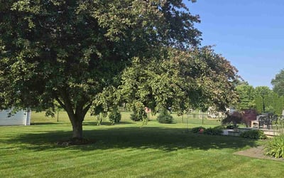 Photo of Suzanne S.'s yard after getting lawn care in Taylor, TX