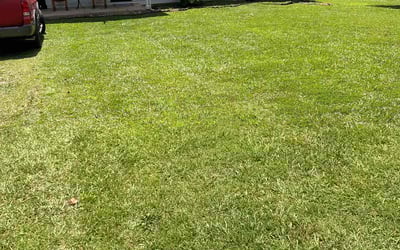 Photo of Socorro G.'s yard after getting lawn care in Lindenhurst, NY