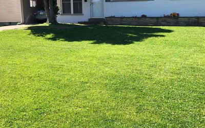 Photo of Ram C.'s yard after getting lawn care in Odessa, FL