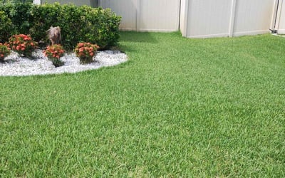 Photo of Maiesha P.'s yard after getting lawn care in Westbury, NY