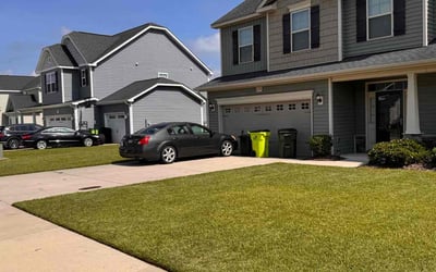 Photo of Adrienne B.'s yard after getting lawn care in East Saint Louis, IL