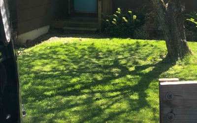 Photo of Lee d.'s yard after getting lawn care in Branford, CT