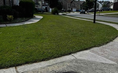 Photo of Christopher C.'s yard after getting lawn care in Dyer, IN