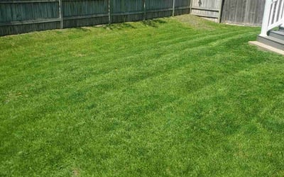 Photo of Michael S.'s yard after getting lawn care in Fox Lake, IL