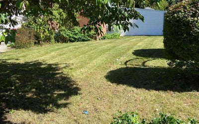 Photo of Dawn B.'s yard after getting lawn care in Revere, MA