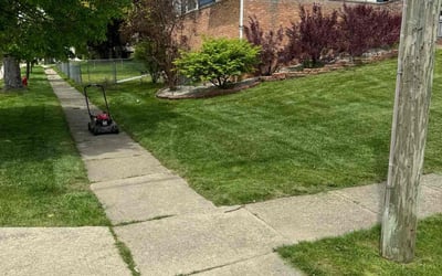 Photo of Maya B.'s yard after getting lawn care in Auburn Hills, MI