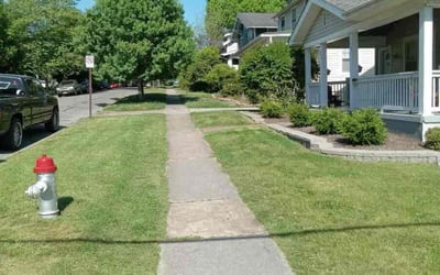 Photo of Victoria S.'s yard after getting lawn care in Maplewood, NJ