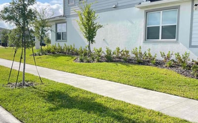 Photo of Kim R.'s yard after getting lawn care in Copperas Cove, TX