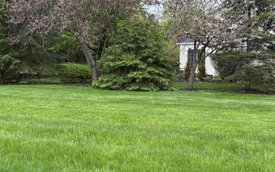 Photo of Fran F.'s yard after getting lawn care in Mesquite, TX