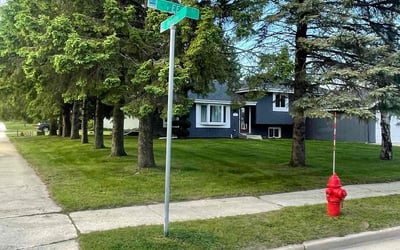Photo of Teshan A.'s yard after getting lawn care in South Lyon, MI