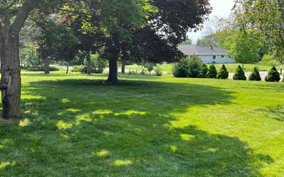 Photo of Darrice L.'s yard after getting lawn care in Port Washington, WI
