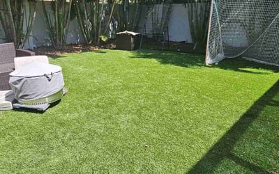 Photo of Brenda M.'s yard after getting lawn care in Jackson Heights, NY
