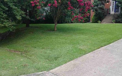 Photo of Rickey B.'s yard after getting lawn care in Indianapolis, IN
