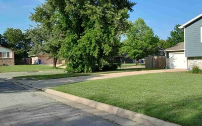 Photo of Anna M.'s yard after getting lawn care in El Dorado, KS