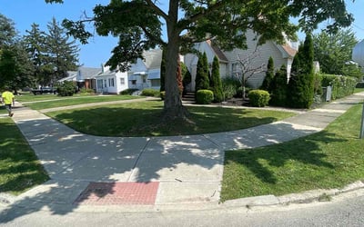 Photo of Carla P.'s yard after getting lawn care in Eastlake, OH