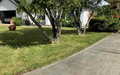 Photo of Laurie Z.'s yard after getting lawn care in Manorville, NY