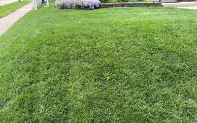 Photo of Kyle L.'s yard after getting lawn care in Cudahy, WI