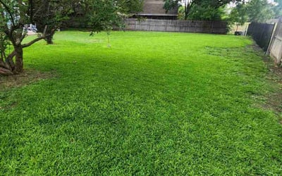 Photo of Kimberly M.'s yard after getting tree care in Chester, VA