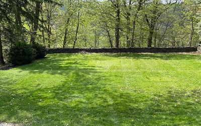 Photo of Sara C.'s yard after getting lawn care in Canastota, NY