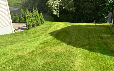 Photo of Leonard B.'s yard after getting lawn care in Ramsey, MN