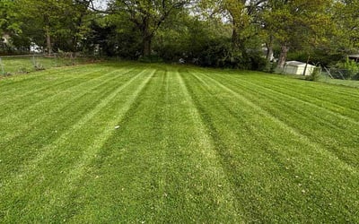 Photo of Sandi P.'s yard after getting lawn care in Mission, KS