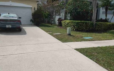 Photo of Dawn R.'s yard after getting lawn care in Port Richey, FL